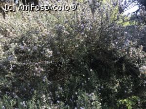 [P60] Ecopark Varna » foto by nicole33
 - 
<span class="allrVoted glyphicon glyphicon-heart hidden" id="av1071383"></span>
<a class="m-l-10 hidden" id="sv1071383" onclick="voting_Foto_DelVot(,1071383,11202)" role="button">șterge vot <span class="glyphicon glyphicon-remove"></span></a>
<a id="v91071383" class=" c-red"  onclick="voting_Foto_SetVot(1071383)" role="button"><span class="glyphicon glyphicon-heart-empty"></span> <b>LIKE</b> = Votează poza</a> <img class="hidden"  id="f1071383W9" src="/imagini/loader.gif" border="0" /><span class="AjErrMes hidden" id="e1071383ErM"></span>