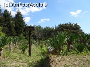 [P62] Ecopark Varna - Arizona » foto by nicole33
 - 
<span class="allrVoted glyphicon glyphicon-heart hidden" id="av1071385"></span>
<a class="m-l-10 hidden" id="sv1071385" onclick="voting_Foto_DelVot(,1071385,11202)" role="button">șterge vot <span class="glyphicon glyphicon-remove"></span></a>
<a id="v91071385" class=" c-red"  onclick="voting_Foto_SetVot(1071385)" role="button"><span class="glyphicon glyphicon-heart-empty"></span> <b>LIKE</b> = Votează poza</a> <img class="hidden"  id="f1071385W9" src="/imagini/loader.gif" border="0" /><span class="AjErrMes hidden" id="e1071385ErM"></span>