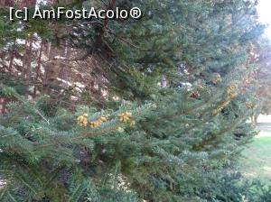 [P63] Ecopark Varna » foto by nicole33
 - 
<span class="allrVoted glyphicon glyphicon-heart hidden" id="av1071386"></span>
<a class="m-l-10 hidden" id="sv1071386" onclick="voting_Foto_DelVot(,1071386,11202)" role="button">șterge vot <span class="glyphicon glyphicon-remove"></span></a>
<a id="v91071386" class=" c-red"  onclick="voting_Foto_SetVot(1071386)" role="button"><span class="glyphicon glyphicon-heart-empty"></span> <b>LIKE</b> = Votează poza</a> <img class="hidden"  id="f1071386W9" src="/imagini/loader.gif" border="0" /><span class="AjErrMes hidden" id="e1071386ErM"></span>