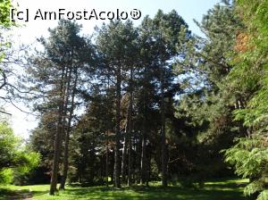 [P64] Ecopark Varna - în pădure » foto by nicole33
 - 
<span class="allrVoted glyphicon glyphicon-heart hidden" id="av1071387"></span>
<a class="m-l-10 hidden" id="sv1071387" onclick="voting_Foto_DelVot(,1071387,11202)" role="button">șterge vot <span class="glyphicon glyphicon-remove"></span></a>
<a id="v91071387" class=" c-red"  onclick="voting_Foto_SetVot(1071387)" role="button"><span class="glyphicon glyphicon-heart-empty"></span> <b>LIKE</b> = Votează poza</a> <img class="hidden"  id="f1071387W9" src="/imagini/loader.gif" border="0" /><span class="AjErrMes hidden" id="e1071387ErM"></span>