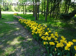 [P07] Simfonia lalelelor la Ecopark Varna - multe lalele » foto by nicole33
 - 
<span class="allrVoted glyphicon glyphicon-heart hidden" id="av1071329"></span>
<a class="m-l-10 hidden" id="sv1071329" onclick="voting_Foto_DelVot(,1071329,11202)" role="button">șterge vot <span class="glyphicon glyphicon-remove"></span></a>
<a id="v91071329" class=" c-red"  onclick="voting_Foto_SetVot(1071329)" role="button"><span class="glyphicon glyphicon-heart-empty"></span> <b>LIKE</b> = Votează poza</a> <img class="hidden"  id="f1071329W9" src="/imagini/loader.gif" border="0" /><span class="AjErrMes hidden" id="e1071329ErM"></span>