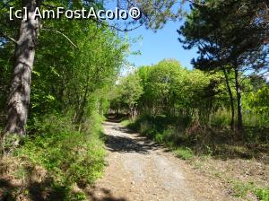 [P83] Ecopark Varna - prin pădure » foto by nicole33
 - 
<span class="allrVoted glyphicon glyphicon-heart hidden" id="av1071406"></span>
<a class="m-l-10 hidden" id="sv1071406" onclick="voting_Foto_DelVot(,1071406,11202)" role="button">șterge vot <span class="glyphicon glyphicon-remove"></span></a>
<a id="v91071406" class=" c-red"  onclick="voting_Foto_SetVot(1071406)" role="button"><span class="glyphicon glyphicon-heart-empty"></span> <b>LIKE</b> = Votează poza</a> <img class="hidden"  id="f1071406W9" src="/imagini/loader.gif" border="0" /><span class="AjErrMes hidden" id="e1071406ErM"></span>