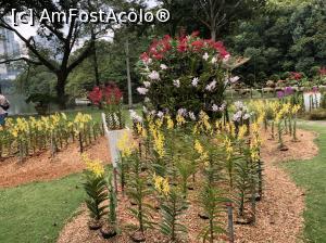 [P37] aranjament floral in Lake Garden » foto by Dan&Ema
 - 
<span class="allrVoted glyphicon glyphicon-heart hidden" id="av1141266"></span>
<a class="m-l-10 hidden" id="sv1141266" onclick="voting_Foto_DelVot(,1141266,11217)" role="button">șterge vot <span class="glyphicon glyphicon-remove"></span></a>
<a id="v91141266" class=" c-red"  onclick="voting_Foto_SetVot(1141266)" role="button"><span class="glyphicon glyphicon-heart-empty"></span> <b>LIKE</b> = Votează poza</a> <img class="hidden"  id="f1141266W9" src="/imagini/loader.gif" border="0" /><span class="AjErrMes hidden" id="e1141266ErM"></span>