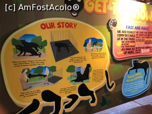 [P12] Panourile explicative din zoo foarte atractive » foto by Dan&Ema
 - 
<span class="allrVoted glyphicon glyphicon-heart hidden" id="av1143162"></span>
<a class="m-l-10 hidden" id="sv1143162" onclick="voting_Foto_DelVot(,1143162,11217)" role="button">șterge vot <span class="glyphicon glyphicon-remove"></span></a>
<a id="v91143162" class=" c-red"  onclick="voting_Foto_SetVot(1143162)" role="button"><span class="glyphicon glyphicon-heart-empty"></span> <b>LIKE</b> = Votează poza</a> <img class="hidden"  id="f1143162W9" src="/imagini/loader.gif" border="0" /><span class="AjErrMes hidden" id="e1143162ErM"></span>