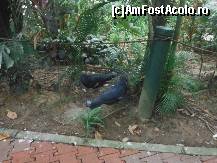 [P06] bird park » foto by Marinusa
 - 
<span class="allrVoted glyphicon glyphicon-heart hidden" id="av498805"></span>
<a class="m-l-10 hidden" id="sv498805" onclick="voting_Foto_DelVot(,498805,11217)" role="button">șterge vot <span class="glyphicon glyphicon-remove"></span></a>
<a id="v9498805" class=" c-red"  onclick="voting_Foto_SetVot(498805)" role="button"><span class="glyphicon glyphicon-heart-empty"></span> <b>LIKE</b> = Votează poza</a> <img class="hidden"  id="f498805W9" src="/imagini/loader.gif" border="0" /><span class="AjErrMes hidden" id="e498805ErM"></span>