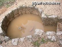 [P25] Varianta maya a unui jacuzzi » foto by Marinusch
 - 
<span class="allrVoted glyphicon glyphicon-heart hidden" id="av339572"></span>
<a class="m-l-10 hidden" id="sv339572" onclick="voting_Foto_DelVot(,339572,11226)" role="button">șterge vot <span class="glyphicon glyphicon-remove"></span></a>
<a id="v9339572" class=" c-red"  onclick="voting_Foto_SetVot(339572)" role="button"><span class="glyphicon glyphicon-heart-empty"></span> <b>LIKE</b> = Votează poza</a> <img class="hidden"  id="f339572W9" src="/imagini/loader.gif" border="0" /><span class="AjErrMes hidden" id="e339572ErM"></span>