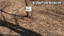 [P17] Mânăstirea Prislop - cărarea spre peştera Sf. Ion. » foto by Dragoș_MD
 - 
<span class="allrVoted glyphicon glyphicon-heart hidden" id="av304600"></span>
<a class="m-l-10 hidden" id="sv304600" onclick="voting_Foto_DelVot(,304600,11234)" role="button">șterge vot <span class="glyphicon glyphicon-remove"></span></a>
<a id="v9304600" class=" c-red"  onclick="voting_Foto_SetVot(304600)" role="button"><span class="glyphicon glyphicon-heart-empty"></span> <b>LIKE</b> = Votează poza</a> <img class="hidden"  id="f304600W9" src="/imagini/loader.gif" border="0" /><span class="AjErrMes hidden" id="e304600ErM"></span>