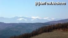 [P03] Mânăstirea Prislop - Munţii Retezat, pe drumul spre mânăstire. » foto by Dragoș_MD
 - 
<span class="allrVoted glyphicon glyphicon-heart hidden" id="av304586"></span>
<a class="m-l-10 hidden" id="sv304586" onclick="voting_Foto_DelVot(,304586,11234)" role="button">șterge vot <span class="glyphicon glyphicon-remove"></span></a>
<a id="v9304586" class=" c-red"  onclick="voting_Foto_SetVot(304586)" role="button"><span class="glyphicon glyphicon-heart-empty"></span> <b>LIKE</b> = Votează poza</a> <img class="hidden"  id="f304586W9" src="/imagini/loader.gif" border="0" /><span class="AjErrMes hidden" id="e304586ErM"></span>