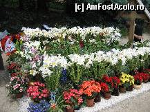 [P15] Manastirea Prislop - mormantul Parintelui Arsenie Boca. Fara cuvinte. » foto by sunflower
 - 
<span class="allrVoted glyphicon glyphicon-heart hidden" id="av304456"></span>
<a class="m-l-10 hidden" id="sv304456" onclick="voting_Foto_DelVot(,304456,11234)" role="button">șterge vot <span class="glyphicon glyphicon-remove"></span></a>
<a id="v9304456" class=" c-red"  onclick="voting_Foto_SetVot(304456)" role="button"><span class="glyphicon glyphicon-heart-empty"></span> <b>LIKE</b> = Votează poza</a> <img class="hidden"  id="f304456W9" src="/imagini/loader.gif" border="0" /><span class="AjErrMes hidden" id="e304456ErM"></span>