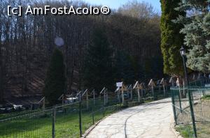 [P05] Aleea către Mormântul Părintelui Arsenie Boca » foto by pepsi70ro
 - 
<span class="allrVoted glyphicon glyphicon-heart hidden" id="av726354"></span>
<a class="m-l-10 hidden" id="sv726354" onclick="voting_Foto_DelVot(,726354,11234)" role="button">șterge vot <span class="glyphicon glyphicon-remove"></span></a>
<a id="v9726354" class=" c-red"  onclick="voting_Foto_SetVot(726354)" role="button"><span class="glyphicon glyphicon-heart-empty"></span> <b>LIKE</b> = Votează poza</a> <img class="hidden"  id="f726354W9" src="/imagini/loader.gif" border="0" /><span class="AjErrMes hidden" id="e726354ErM"></span>