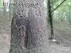 [P01]  -- <small>// FĂRĂ DESCRIERE</small> » foto by Dan1987
 - 
<span class="allrVoted glyphicon glyphicon-heart hidden" id="av716210"></span>
<a class="m-l-10 hidden" id="sv716210" onclick="voting_Foto_DelVot(,716210,11234)" role="button">șterge vot <span class="glyphicon glyphicon-remove"></span></a>
<a id="v9716210" class=" c-red"  onclick="voting_Foto_SetVot(716210)" role="button"><span class="glyphicon glyphicon-heart-empty"></span> <b>LIKE</b> = Votează poza</a> <img class="hidden"  id="f716210W9" src="/imagini/loader.gif" border="0" /><span class="AjErrMes hidden" id="e716210ErM"></span>