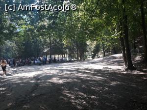 [P03] Mormantul parintelui Arsenie Boca » foto by Oana07
 - 
<span class="allrVoted glyphicon glyphicon-heart hidden" id="av1000347"></span>
<a class="m-l-10 hidden" id="sv1000347" onclick="voting_Foto_DelVot(,1000347,11234)" role="button">șterge vot <span class="glyphicon glyphicon-remove"></span></a>
<a id="v91000347" class=" c-red"  onclick="voting_Foto_SetVot(1000347)" role="button"><span class="glyphicon glyphicon-heart-empty"></span> <b>LIKE</b> = Votează poza</a> <img class="hidden"  id="f1000347W9" src="/imagini/loader.gif" border="0" /><span class="AjErrMes hidden" id="e1000347ErM"></span>