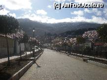 [P22] Aleea cu pomi infloriti de la intrarea in parc, si cu muntii Sierra de Candelario pe fundal. » foto by alinaro
 - 
<span class="allrVoted glyphicon glyphicon-heart hidden" id="av305134"></span>
<a class="m-l-10 hidden" id="sv305134" onclick="voting_Foto_DelVot(,305134,11267)" role="button">șterge vot <span class="glyphicon glyphicon-remove"></span></a>
<a id="v9305134" class=" c-red"  onclick="voting_Foto_SetVot(305134)" role="button"><span class="glyphicon glyphicon-heart-empty"></span> <b>LIKE</b> = Votează poza</a> <img class="hidden"  id="f305134W9" src="/imagini/loader.gif" border="0" /><span class="AjErrMes hidden" id="e305134ErM"></span>