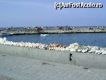 [P07] Alexandria - Faleza si digul. » foto by iulianic
 - 
<span class="allrVoted glyphicon glyphicon-heart hidden" id="av305177"></span>
<a class="m-l-10 hidden" id="sv305177" onclick="voting_Foto_DelVot(,305177,11270)" role="button">șterge vot <span class="glyphicon glyphicon-remove"></span></a>
<a id="v9305177" class=" c-red"  onclick="voting_Foto_SetVot(305177)" role="button"><span class="glyphicon glyphicon-heart-empty"></span> <b>LIKE</b> = Votează poza</a> <img class="hidden"  id="f305177W9" src="/imagini/loader.gif" border="0" /><span class="AjErrMes hidden" id="e305177ErM"></span>