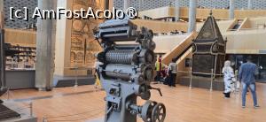 [P89] 89. Sunt, care de care, mai ciudate! » foto by msnd
 - 
<span class="allrVoted glyphicon glyphicon-heart hidden" id="av1501188"></span>
<a class="m-l-10 hidden" id="sv1501188" onclick="voting_Foto_DelVot(,1501188,11270)" role="button">șterge vot <span class="glyphicon glyphicon-remove"></span></a>
<a id="v91501188" class=" c-red"  onclick="voting_Foto_SetVot(1501188)" role="button"><span class="glyphicon glyphicon-heart-empty"></span> <b>LIKE</b> = Votează poza</a> <img class="hidden"  id="f1501188W9" src="/imagini/loader.gif" border="0" /><span class="AjErrMes hidden" id="e1501188ErM"></span>