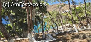[P32] Vegetație bogată în arealul bisericii Panagia Kanala » foto by irinad
 - 
<span class="allrVoted glyphicon glyphicon-heart hidden" id="av1547569"></span>
<a class="m-l-10 hidden" id="sv1547569" onclick="voting_Foto_DelVot(,1547569,11293)" role="button">șterge vot <span class="glyphicon glyphicon-remove"></span></a>
<a id="v91547569" class=" c-red"  onclick="voting_Foto_SetVot(1547569)" role="button"><span class="glyphicon glyphicon-heart-empty"></span> <b>LIKE</b> = Votează poza</a> <img class="hidden"  id="f1547569W9" src="/imagini/loader.gif" border="0" /><span class="AjErrMes hidden" id="e1547569ErM"></span>