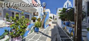 [P04] Aleea d-nei Flora, Messaria, Kythnos » foto by irinad
 - 
<span class="allrVoted glyphicon glyphicon-heart hidden" id="av1547541"></span>
<a class="m-l-10 hidden" id="sv1547541" onclick="voting_Foto_DelVot(,1547541,11293)" role="button">șterge vot <span class="glyphicon glyphicon-remove"></span></a>
<a id="v91547541" class=" c-red"  onclick="voting_Foto_SetVot(1547541)" role="button"><span class="glyphicon glyphicon-heart-empty"></span> <b>LIKE</b> = Votează poza</a> <img class="hidden"  id="f1547541W9" src="/imagini/loader.gif" border="0" /><span class="AjErrMes hidden" id="e1547541ErM"></span>