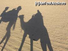 [P11]  -- <small>// FĂRĂ DESCRIERE</small> » foto by Ovidiu77TM
 - 
<span class="allrVoted glyphicon glyphicon-heart hidden" id="av306636"></span>
<a class="m-l-10 hidden" id="sv306636" onclick="voting_Foto_DelVot(,306636,11318)" role="button">șterge vot <span class="glyphicon glyphicon-remove"></span></a>
<a id="v9306636" class=" c-red"  onclick="voting_Foto_SetVot(306636)" role="button"><span class="glyphicon glyphicon-heart-empty"></span> <b>LIKE</b> = Votează poza</a> <img class="hidden"  id="f306636W9" src="/imagini/loader.gif" border="0" /><span class="AjErrMes hidden" id="e306636ErM"></span>