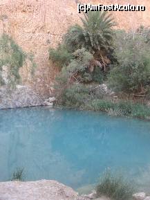 [P14]  -- <small>// FĂRĂ DESCRIERE</small> » foto by Ovidiu77TM
 - 
<span class="allrVoted glyphicon glyphicon-heart hidden" id="av306639"></span>
<a class="m-l-10 hidden" id="sv306639" onclick="voting_Foto_DelVot(,306639,11318)" role="button">șterge vot <span class="glyphicon glyphicon-remove"></span></a>
<a id="v9306639" class=" c-red"  onclick="voting_Foto_SetVot(306639)" role="button"><span class="glyphicon glyphicon-heart-empty"></span> <b>LIKE</b> = Votează poza</a> <img class="hidden"  id="f306639W9" src="/imagini/loader.gif" border="0" /><span class="AjErrMes hidden" id="e306639ErM"></span>