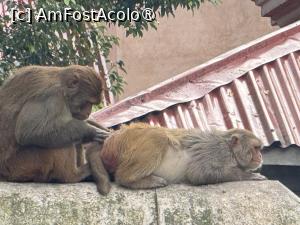 [P18]  -- <small>// FĂRĂ DESCRIERE</small> » foto by Mika
 - 
<span class="allrVoted glyphicon glyphicon-heart hidden" id="av1504130"></span>
<a class="m-l-10 hidden" id="sv1504130" onclick="voting_Foto_DelVot(,1504130,11367)" role="button">șterge vot <span class="glyphicon glyphicon-remove"></span></a>
<a id="v91504130" class=" c-red"  onclick="voting_Foto_SetVot(1504130)" role="button"><span class="glyphicon glyphicon-heart-empty"></span> <b>LIKE</b> = Votează poza</a> <img class="hidden"  id="f1504130W9" src="/imagini/loader.gif" border="0" /><span class="AjErrMes hidden" id="e1504130ErM"></span>