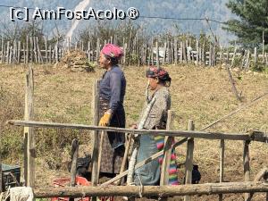 [P11]  -- <small>// FĂRĂ DESCRIERE</small> » foto by Mika
 - 
<span class="allrVoted glyphicon glyphicon-heart hidden" id="av1505995"></span>
<a class="m-l-10 hidden" id="sv1505995" onclick="voting_Foto_DelVot(,1505995,11367)" role="button">șterge vot <span class="glyphicon glyphicon-remove"></span></a>
<a id="v91505995" class=" c-red"  onclick="voting_Foto_SetVot(1505995)" role="button"><span class="glyphicon glyphicon-heart-empty"></span> <b>LIKE</b> = Votează poza</a> <img class="hidden"  id="f1505995W9" src="/imagini/loader.gif" border="0" /><span class="AjErrMes hidden" id="e1505995ErM"></span>