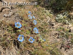 [P63]  -- <small>// FĂRĂ DESCRIERE</small> » foto by Mika
 - 
<span class="allrVoted glyphicon glyphicon-heart hidden" id="av1506047"></span>
<a class="m-l-10 hidden" id="sv1506047" onclick="voting_Foto_DelVot(,1506047,11367)" role="button">șterge vot <span class="glyphicon glyphicon-remove"></span></a>
<a id="v91506047" class=" c-red"  onclick="voting_Foto_SetVot(1506047)" role="button"><span class="glyphicon glyphicon-heart-empty"></span> <b>LIKE</b> = Votează poza</a> <img class="hidden"  id="f1506047W9" src="/imagini/loader.gif" border="0" /><span class="AjErrMes hidden" id="e1506047ErM"></span>