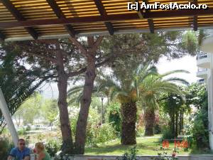 [P29] de la taverna Galle » foto by dorinakiss
 - 
<span class="allrVoted glyphicon glyphicon-heart hidden" id="av538095"></span>
<a class="m-l-10 hidden" id="sv538095" onclick="voting_Foto_DelVot(,538095,11408)" role="button">șterge vot <span class="glyphicon glyphicon-remove"></span></a>
<a id="v9538095" class=" c-red"  onclick="voting_Foto_SetVot(538095)" role="button"><span class="glyphicon glyphicon-heart-empty"></span> <b>LIKE</b> = Votează poza</a> <img class="hidden"  id="f538095W9" src="/imagini/loader.gif" border="0" /><span class="AjErrMes hidden" id="e538095ErM"></span>