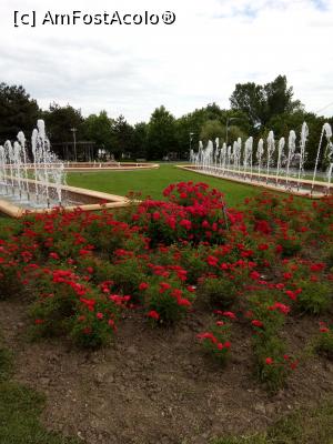 [P12] Parc IOR - Trandafirii roșii ca focul de la intrarea &icirc;n parcul Cuza » foto by Daisy Petal
 - 
<span class="allrVoted glyphicon glyphicon-heart hidden" id="av1165480"></span>
<a class="m-l-10 hidden" id="sv1165480" onclick="voting_Foto_DelVot(,1165480,11447)" role="button">șterge vot <span class="glyphicon glyphicon-remove"></span></a>
<a id="v91165480" class=" c-red"  onclick="voting_Foto_SetVot(1165480)" role="button"><span class="glyphicon glyphicon-heart-empty"></span> <b>LIKE</b> = Votează poza</a> <img class="hidden"  id="f1165480W9" src="/imagini/loader.gif" border="0" /><span class="AjErrMes hidden" id="e1165480ErM"></span>