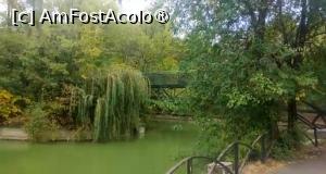 [P12] Parcul Național Lia Manoliu din București, podul spre insulă » foto by Mioritik
 - 
<span class="allrVoted glyphicon glyphicon-heart hidden" id="av1396091"></span>
<a class="m-l-10 hidden" id="sv1396091" onclick="voting_Foto_DelVot(,1396091,11447)" role="button">șterge vot <span class="glyphicon glyphicon-remove"></span></a>
<a id="v91396091" class=" c-red"  onclick="voting_Foto_SetVot(1396091)" role="button"><span class="glyphicon glyphicon-heart-empty"></span> <b>LIKE</b> = Votează poza</a> <img class="hidden"  id="f1396091W9" src="/imagini/loader.gif" border="0" /><span class="AjErrMes hidden" id="e1396091ErM"></span>