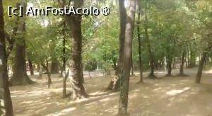 [P13] Parcul Național Lia Manoliu din București » foto by Mioritik
 - 
<span class="allrVoted glyphicon glyphicon-heart hidden" id="av1396092"></span>
<a class="m-l-10 hidden" id="sv1396092" onclick="voting_Foto_DelVot(,1396092,11447)" role="button">șterge vot <span class="glyphicon glyphicon-remove"></span></a>
<a id="v91396092" class=" c-red"  onclick="voting_Foto_SetVot(1396092)" role="button"><span class="glyphicon glyphicon-heart-empty"></span> <b>LIKE</b> = Votează poza</a> <img class="hidden"  id="f1396092W9" src="/imagini/loader.gif" border="0" /><span class="AjErrMes hidden" id="e1396092ErM"></span>
