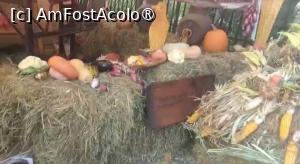 [P16] La intrarea &icirc;n Parcul Național Lia Manoliu din București » foto by Mioritik
 - 
<span class="allrVoted glyphicon glyphicon-heart hidden" id="av1396095"></span>
<a class="m-l-10 hidden" id="sv1396095" onclick="voting_Foto_DelVot(,1396095,11447)" role="button">șterge vot <span class="glyphicon glyphicon-remove"></span></a>
<a id="v91396095" class=" c-red"  onclick="voting_Foto_SetVot(1396095)" role="button"><span class="glyphicon glyphicon-heart-empty"></span> <b>LIKE</b> = Votează poza</a> <img class="hidden"  id="f1396095W9" src="/imagini/loader.gif" border="0" /><span class="AjErrMes hidden" id="e1396095ErM"></span>