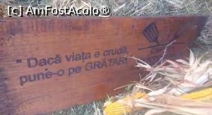 [P17] La intrarea &icirc;n Parcul Național Lia Manoliu din București » foto by Mioritik
 - 
<span class="allrVoted glyphicon glyphicon-heart hidden" id="av1396096"></span>
<a class="m-l-10 hidden" id="sv1396096" onclick="voting_Foto_DelVot(,1396096,11447)" role="button">șterge vot <span class="glyphicon glyphicon-remove"></span></a>
<a id="v91396096" class=" c-red"  onclick="voting_Foto_SetVot(1396096)" role="button"><span class="glyphicon glyphicon-heart-empty"></span> <b>LIKE</b> = Votează poza</a> <img class="hidden"  id="f1396096W9" src="/imagini/loader.gif" border="0" /><span class="AjErrMes hidden" id="e1396096ErM"></span>