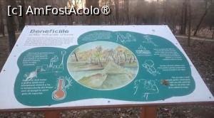 [P52] Parcul Sticlăriei, București » foto by Mioritik
 - 
<span class="allrVoted glyphicon glyphicon-heart hidden" id="av1400018"></span>
<a class="m-l-10 hidden" id="sv1400018" onclick="voting_Foto_DelVot(,1400018,11447)" role="button">șterge vot <span class="glyphicon glyphicon-remove"></span></a>
<a id="v91400018" class=" c-red"  onclick="voting_Foto_SetVot(1400018)" role="button"><span class="glyphicon glyphicon-heart-empty"></span> <b>LIKE</b> = Votează poza</a> <img class="hidden"  id="f1400018W9" src="/imagini/loader.gif" border="0" /><span class="AjErrMes hidden" id="e1400018ErM"></span>