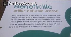 [P57] Parcul Sticlăriei, București » foto by Mioritik
 - 
<span class="allrVoted glyphicon glyphicon-heart hidden" id="av1400023"></span>
<a class="m-l-10 hidden" id="sv1400023" onclick="voting_Foto_DelVot(,1400023,11447)" role="button">șterge vot <span class="glyphicon glyphicon-remove"></span></a>
<a id="v91400023" class=" c-red"  onclick="voting_Foto_SetVot(1400023)" role="button"><span class="glyphicon glyphicon-heart-empty"></span> <b>LIKE</b> = Votează poza</a> <img class="hidden"  id="f1400023W9" src="/imagini/loader.gif" border="0" /><span class="AjErrMes hidden" id="e1400023ErM"></span>