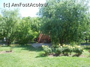 [P11] Bucuresti - Parcul Titan. Pe podul spre Insula Pescarilor. » foto by iulianic
 - 
<span class="allrVoted glyphicon glyphicon-heart hidden" id="av1303886"></span>
<a class="m-l-10 hidden" id="sv1303886" onclick="voting_Foto_DelVot(,1303886,11447)" role="button">șterge vot <span class="glyphicon glyphicon-remove"></span></a>
<a id="v91303886" class=" c-red"  onclick="voting_Foto_SetVot(1303886)" role="button"><span class="glyphicon glyphicon-heart-empty"></span> <b>LIKE</b> = Votează poza</a> <img class="hidden"  id="f1303886W9" src="/imagini/loader.gif" border="0" /><span class="AjErrMes hidden" id="e1303886ErM"></span>
