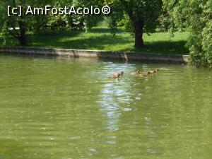 [P12] Bucuresti - Parcul Titan. In grup, la plimbare pe lac. » foto by iulianic
 - 
<span class="allrVoted glyphicon glyphicon-heart hidden" id="av1303887"></span>
<a class="m-l-10 hidden" id="sv1303887" onclick="voting_Foto_DelVot(,1303887,11447)" role="button">șterge vot <span class="glyphicon glyphicon-remove"></span></a>
<a id="v91303887" class=" c-red"  onclick="voting_Foto_SetVot(1303887)" role="button"><span class="glyphicon glyphicon-heart-empty"></span> <b>LIKE</b> = Votează poza</a> <img class="hidden"  id="f1303887W9" src="/imagini/loader.gif" border="0" /><span class="AjErrMes hidden" id="e1303887ErM"></span>