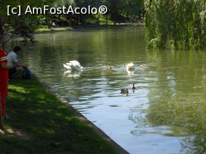 [P28] Bucuresti - Parcul Titan. » foto by iulianic
 - 
<span class="allrVoted glyphicon glyphicon-heart hidden" id="av1303903"></span>
<a class="m-l-10 hidden" id="sv1303903" onclick="voting_Foto_DelVot(,1303903,11447)" role="button">șterge vot <span class="glyphicon glyphicon-remove"></span></a>
<a id="v91303903" class=" c-red"  onclick="voting_Foto_SetVot(1303903)" role="button"><span class="glyphicon glyphicon-heart-empty"></span> <b>LIKE</b> = Votează poza</a> <img class="hidden"  id="f1303903W9" src="/imagini/loader.gif" border="0" /><span class="AjErrMes hidden" id="e1303903ErM"></span>