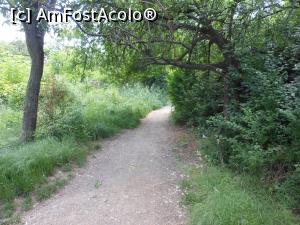 [P30] Bucuresti - Parcul Titan. » foto by iulianic
 - 
<span class="allrVoted glyphicon glyphicon-heart hidden" id="av1303905"></span>
<a class="m-l-10 hidden" id="sv1303905" onclick="voting_Foto_DelVot(,1303905,11447)" role="button">șterge vot <span class="glyphicon glyphicon-remove"></span></a>
<a id="v91303905" class=" c-red"  onclick="voting_Foto_SetVot(1303905)" role="button"><span class="glyphicon glyphicon-heart-empty"></span> <b>LIKE</b> = Votează poza</a> <img class="hidden"  id="f1303905W9" src="/imagini/loader.gif" border="0" /><span class="AjErrMes hidden" id="e1303905ErM"></span>