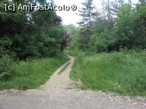 [P31] Bucuresti - Parcul Titan. » foto by iulianic
 - 
<span class="allrVoted glyphicon glyphicon-heart hidden" id="av1303906"></span>
<a class="m-l-10 hidden" id="sv1303906" onclick="voting_Foto_DelVot(,1303906,11447)" role="button">șterge vot <span class="glyphicon glyphicon-remove"></span></a>
<a id="v91303906" class=" c-red"  onclick="voting_Foto_SetVot(1303906)" role="button"><span class="glyphicon glyphicon-heart-empty"></span> <b>LIKE</b> = Votează poza</a> <img class="hidden"  id="f1303906W9" src="/imagini/loader.gif" border="0" /><span class="AjErrMes hidden" id="e1303906ErM"></span>