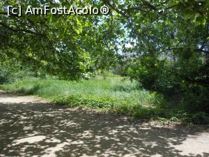 [P34] Bucuresti - Parcul Titan. » foto by iulianic
 - 
<span class="allrVoted glyphicon glyphicon-heart hidden" id="av1303909"></span>
<a class="m-l-10 hidden" id="sv1303909" onclick="voting_Foto_DelVot(,1303909,11447)" role="button">șterge vot <span class="glyphicon glyphicon-remove"></span></a>
<a id="v91303909" class=" c-red"  onclick="voting_Foto_SetVot(1303909)" role="button"><span class="glyphicon glyphicon-heart-empty"></span> <b>LIKE</b> = Votează poza</a> <img class="hidden"  id="f1303909W9" src="/imagini/loader.gif" border="0" /><span class="AjErrMes hidden" id="e1303909ErM"></span>