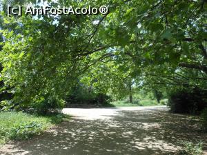 [P35] Bucuresti - Parcul Titan. » foto by iulianic
 - 
<span class="allrVoted glyphicon glyphicon-heart hidden" id="av1303910"></span>
<a class="m-l-10 hidden" id="sv1303910" onclick="voting_Foto_DelVot(,1303910,11447)" role="button">șterge vot <span class="glyphicon glyphicon-remove"></span></a>
<a id="v91303910" class=" c-red"  onclick="voting_Foto_SetVot(1303910)" role="button"><span class="glyphicon glyphicon-heart-empty"></span> <b>LIKE</b> = Votează poza</a> <img class="hidden"  id="f1303910W9" src="/imagini/loader.gif" border="0" /><span class="AjErrMes hidden" id="e1303910ErM"></span>