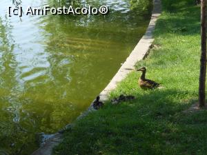 [P45] Bucuresti - Parcul Titan. La umbra. » foto by iulianic
 - 
<span class="allrVoted glyphicon glyphicon-heart hidden" id="av1303920"></span>
<a class="m-l-10 hidden" id="sv1303920" onclick="voting_Foto_DelVot(,1303920,11447)" role="button">șterge vot <span class="glyphicon glyphicon-remove"></span></a>
<a id="v91303920" class=" c-red"  onclick="voting_Foto_SetVot(1303920)" role="button"><span class="glyphicon glyphicon-heart-empty"></span> <b>LIKE</b> = Votează poza</a> <img class="hidden"  id="f1303920W9" src="/imagini/loader.gif" border="0" /><span class="AjErrMes hidden" id="e1303920ErM"></span>