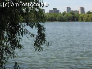 [P09] Bucuresti - Parcul Titan. Lacul. » foto by iulianic
 - 
<span class="allrVoted glyphicon glyphicon-heart hidden" id="av1303884"></span>
<a class="m-l-10 hidden" id="sv1303884" onclick="voting_Foto_DelVot(,1303884,11447)" role="button">șterge vot <span class="glyphicon glyphicon-remove"></span></a>
<a id="v91303884" class=" c-red"  onclick="voting_Foto_SetVot(1303884)" role="button"><span class="glyphicon glyphicon-heart-empty"></span> <b>LIKE</b> = Votează poza</a> <img class="hidden"  id="f1303884W9" src="/imagini/loader.gif" border="0" /><span class="AjErrMes hidden" id="e1303884ErM"></span>