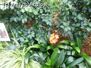 [P34] Parcul "Drumul Taberei" - &Icirc;n seră. » foto by iulianic
 - 
<span class="allrVoted glyphicon glyphicon-heart hidden" id="av1311446"></span>
<a class="m-l-10 hidden" id="sv1311446" onclick="voting_Foto_DelVot(,1311446,11447)" role="button">șterge vot <span class="glyphicon glyphicon-remove"></span></a>
<a id="v91311446" class=" c-red"  onclick="voting_Foto_SetVot(1311446)" role="button"><span class="glyphicon glyphicon-heart-empty"></span> <b>LIKE</b> = Votează poza</a> <img class="hidden"  id="f1311446W9" src="/imagini/loader.gif" border="0" /><span class="AjErrMes hidden" id="e1311446ErM"></span>