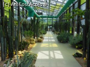 [P37] Parcul "Drumul Taberei" - &Icirc;n seră. » foto by iulianic
 - 
<span class="allrVoted glyphicon glyphicon-heart hidden" id="av1311449"></span>
<a class="m-l-10 hidden" id="sv1311449" onclick="voting_Foto_DelVot(,1311449,11447)" role="button">șterge vot <span class="glyphicon glyphicon-remove"></span></a>
<a id="v91311449" class=" c-red"  onclick="voting_Foto_SetVot(1311449)" role="button"><span class="glyphicon glyphicon-heart-empty"></span> <b>LIKE</b> = Votează poza</a> <img class="hidden"  id="f1311449W9" src="/imagini/loader.gif" border="0" /><span class="AjErrMes hidden" id="e1311449ErM"></span>