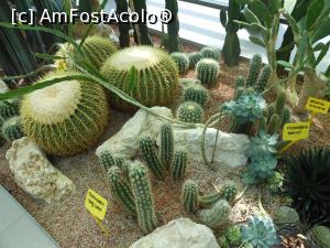 [P41] Parcul "Drumul Taberei" - &Icirc;n seră. » foto by iulianic
 - 
<span class="allrVoted glyphicon glyphicon-heart hidden" id="av1311453"></span>
<a class="m-l-10 hidden" id="sv1311453" onclick="voting_Foto_DelVot(,1311453,11447)" role="button">șterge vot <span class="glyphicon glyphicon-remove"></span></a>
<a id="v91311453" class=" c-red"  onclick="voting_Foto_SetVot(1311453)" role="button"><span class="glyphicon glyphicon-heart-empty"></span> <b>LIKE</b> = Votează poza</a> <img class="hidden"  id="f1311453W9" src="/imagini/loader.gif" border="0" /><span class="AjErrMes hidden" id="e1311453ErM"></span>