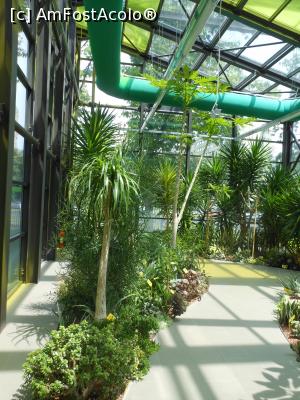 [P43] Parcul "Drumul Taberei" - &Icirc;n seră. » foto by iulianic
 - 
<span class="allrVoted glyphicon glyphicon-heart hidden" id="av1311455"></span>
<a class="m-l-10 hidden" id="sv1311455" onclick="voting_Foto_DelVot(,1311455,11447)" role="button">șterge vot <span class="glyphicon glyphicon-remove"></span></a>
<a id="v91311455" class=" c-red"  onclick="voting_Foto_SetVot(1311455)" role="button"><span class="glyphicon glyphicon-heart-empty"></span> <b>LIKE</b> = Votează poza</a> <img class="hidden"  id="f1311455W9" src="/imagini/loader.gif" border="0" /><span class="AjErrMes hidden" id="e1311455ErM"></span>