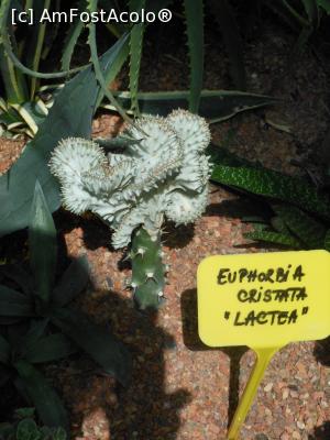 [P45] Parcul "Drumul Taberei" - &Icirc;n seră. » foto by iulianic
 - 
<span class="allrVoted glyphicon glyphicon-heart hidden" id="av1311457"></span>
<a class="m-l-10 hidden" id="sv1311457" onclick="voting_Foto_DelVot(,1311457,11447)" role="button">șterge vot <span class="glyphicon glyphicon-remove"></span></a>
<a id="v91311457" class=" c-red"  onclick="voting_Foto_SetVot(1311457)" role="button"><span class="glyphicon glyphicon-heart-empty"></span> <b>LIKE</b> = Votează poza</a> <img class="hidden"  id="f1311457W9" src="/imagini/loader.gif" border="0" /><span class="AjErrMes hidden" id="e1311457ErM"></span>