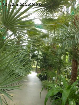 [P46] Parcul "Drumul Taberei" - &Icirc;n seră. » foto by iulianic
 - 
<span class="allrVoted glyphicon glyphicon-heart hidden" id="av1311458"></span>
<a class="m-l-10 hidden" id="sv1311458" onclick="voting_Foto_DelVot(,1311458,11447)" role="button">șterge vot <span class="glyphicon glyphicon-remove"></span></a>
<a id="v91311458" class=" c-red"  onclick="voting_Foto_SetVot(1311458)" role="button"><span class="glyphicon glyphicon-heart-empty"></span> <b>LIKE</b> = Votează poza</a> <img class="hidden"  id="f1311458W9" src="/imagini/loader.gif" border="0" /><span class="AjErrMes hidden" id="e1311458ErM"></span>