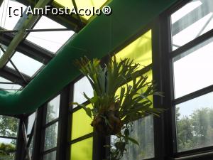 [P48] Parcul "Drumul Taberei" - &Icirc;n seră. » foto by iulianic
 - 
<span class="allrVoted glyphicon glyphicon-heart hidden" id="av1311460"></span>
<a class="m-l-10 hidden" id="sv1311460" onclick="voting_Foto_DelVot(,1311460,11447)" role="button">șterge vot <span class="glyphicon glyphicon-remove"></span></a>
<a id="v91311460" class=" c-red"  onclick="voting_Foto_SetVot(1311460)" role="button"><span class="glyphicon glyphicon-heart-empty"></span> <b>LIKE</b> = Votează poza</a> <img class="hidden"  id="f1311460W9" src="/imagini/loader.gif" border="0" /><span class="AjErrMes hidden" id="e1311460ErM"></span>